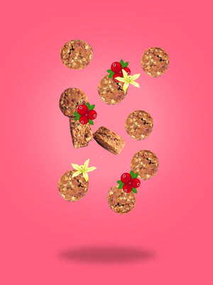 Cranberry Vanilla Nibbles 100g