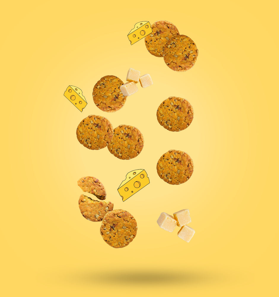 Cheesy Cheese Nibbles with cheese icons