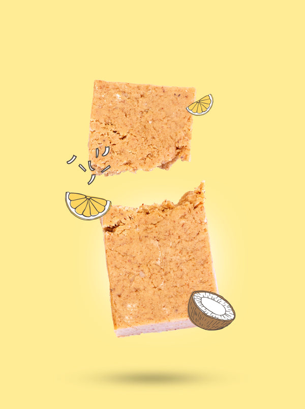 Lemon Coconut Protein Bars x10