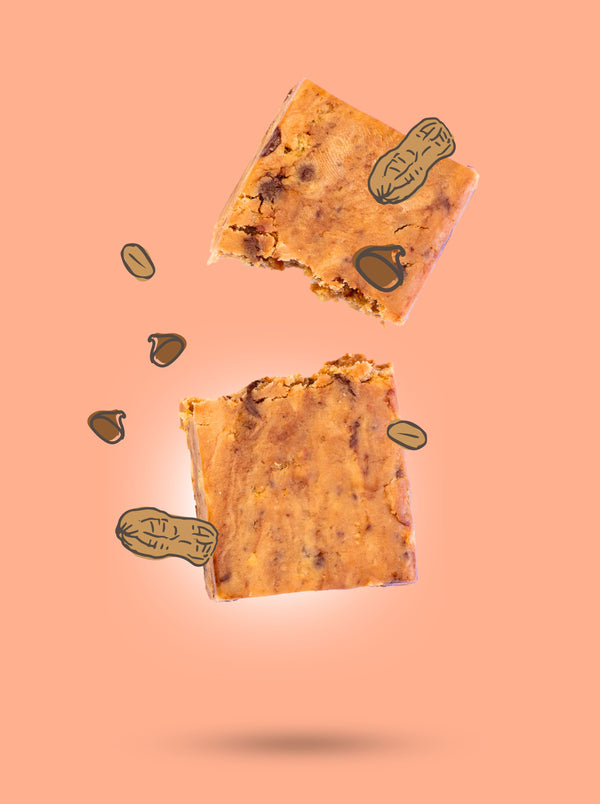 Peanut Choc Protein Bars x10