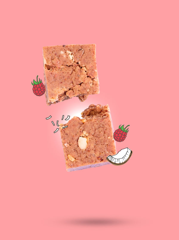 Raspberry Coconut Mini Protein Bars x12