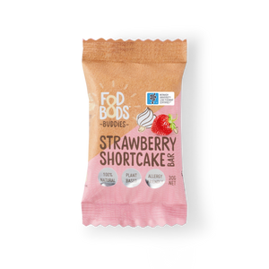 Strawberry Shortcake Buddies X12