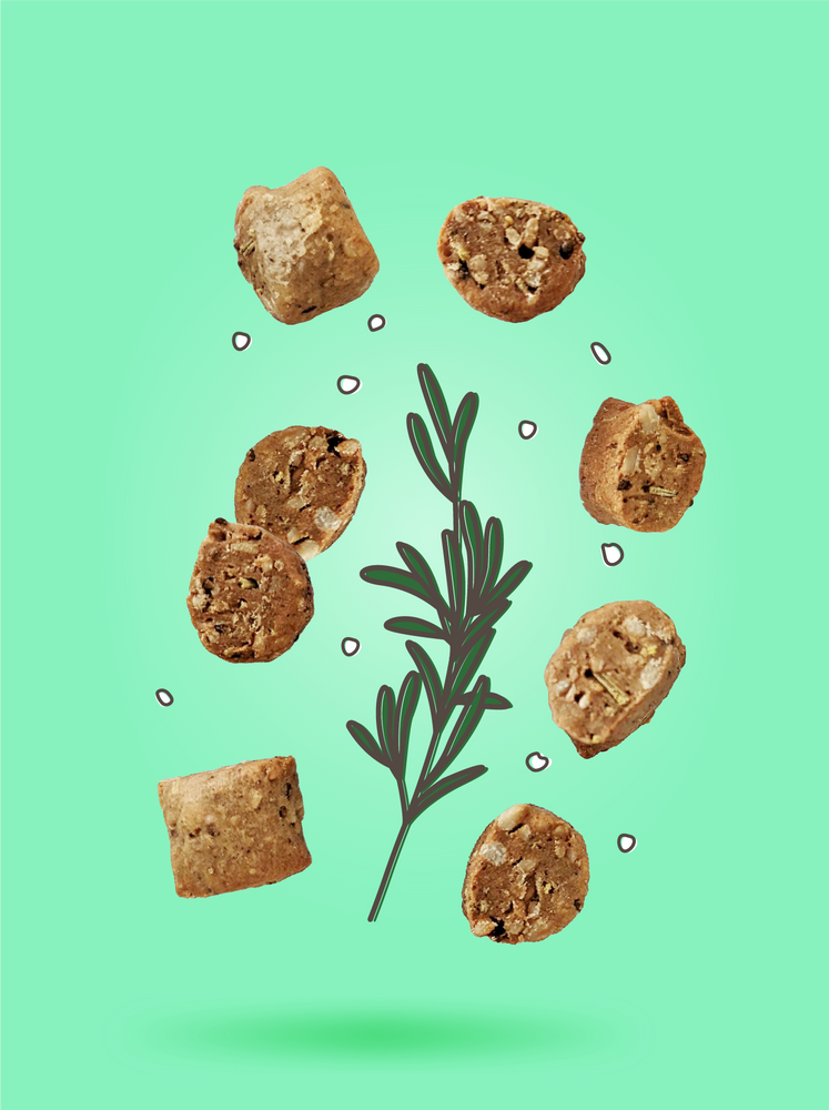 Fodbods Rosemary & Sea Salt crunchy sunflower seed bites. Natural, vegan, gluten-free, allergen-friendly.